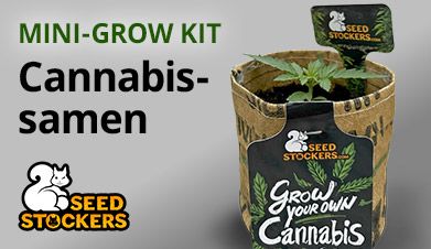 Cannabis Anzuchtset