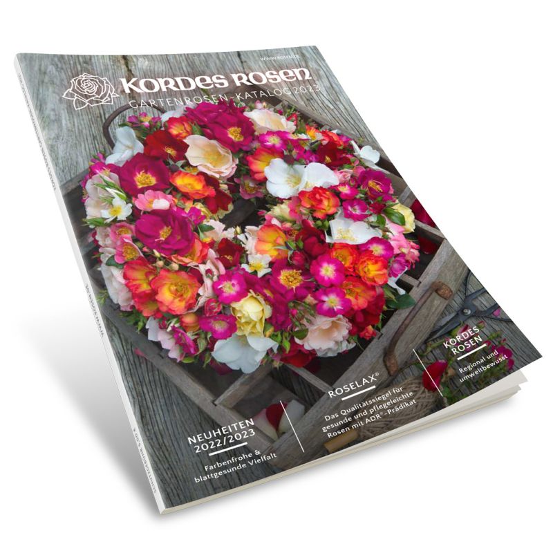 Kordes GartenrosenKatalog Kordes Rosen